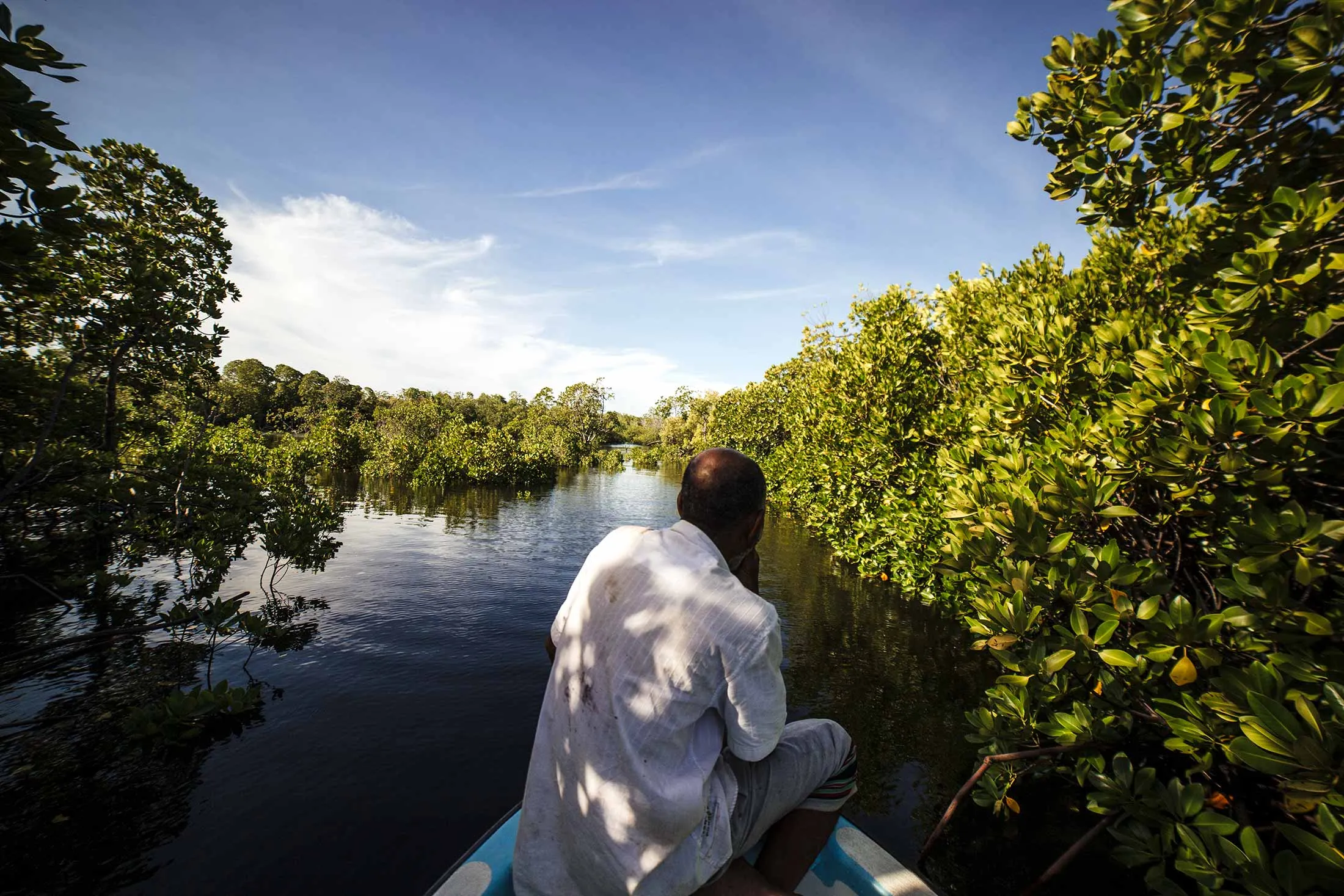 Mangrove Channel Fishing